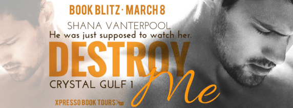 DestroyMeBlitzBanner