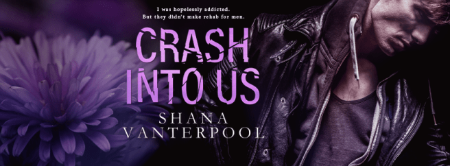 SVCrashintoUsBookCoverFACEBOOK